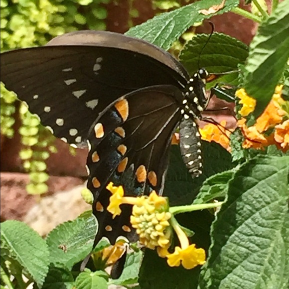 Meet your Posher, Halina - Picture 11 of 16